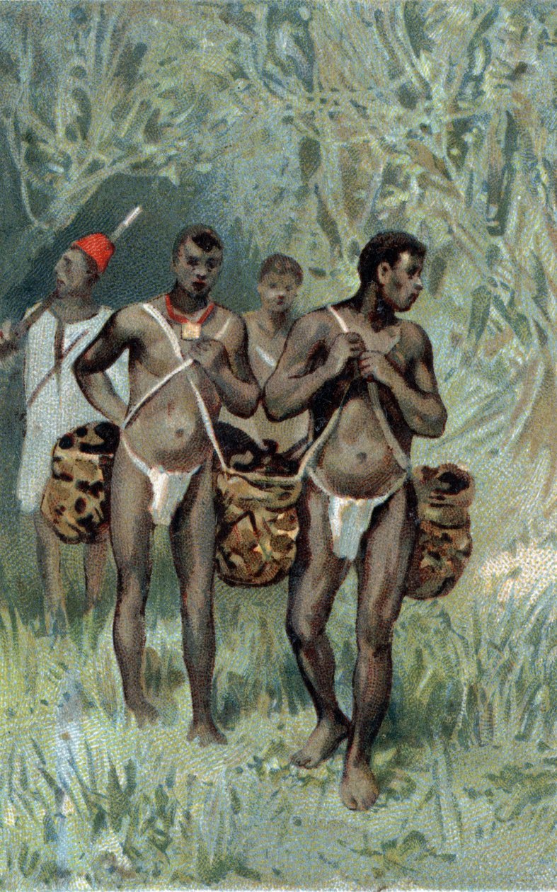 Guma izolacyjna w Kongo. Chromolitografia z końca XIX wieku. autorstwa Unknown artist