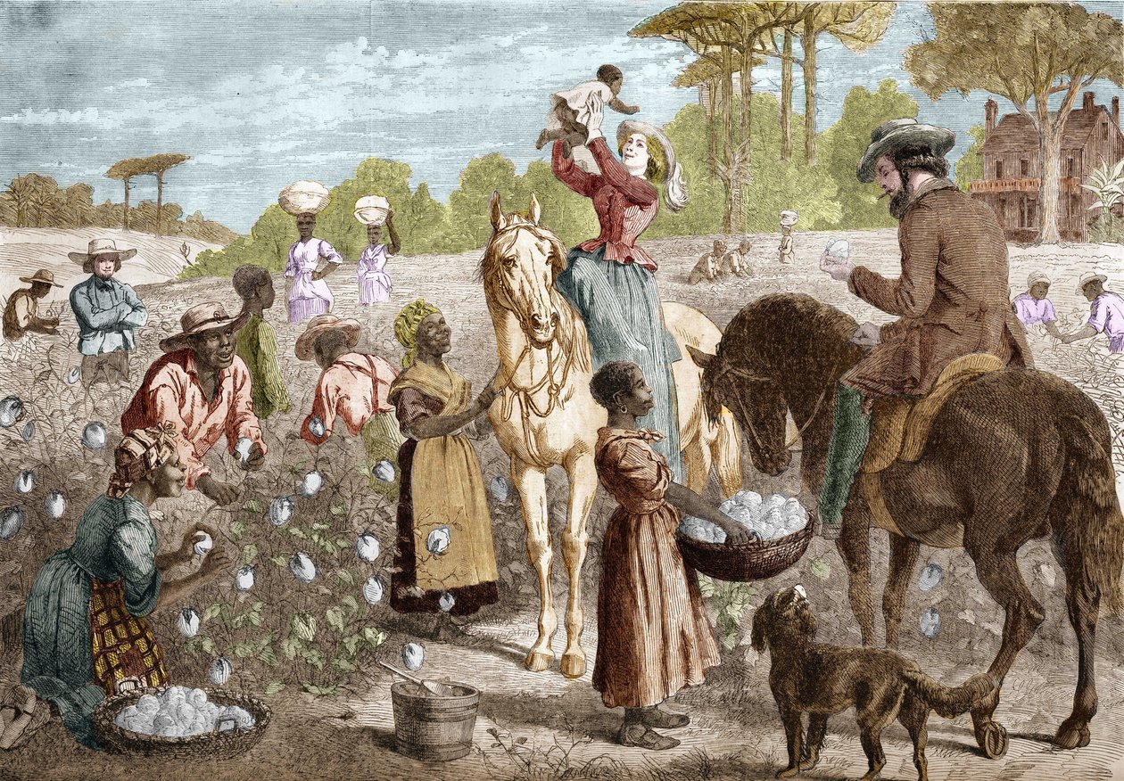 Bawełna z recyklingu z domu w południowych Stanach Zjednoczonych w 1864 roku. autorstwa Unknown artist