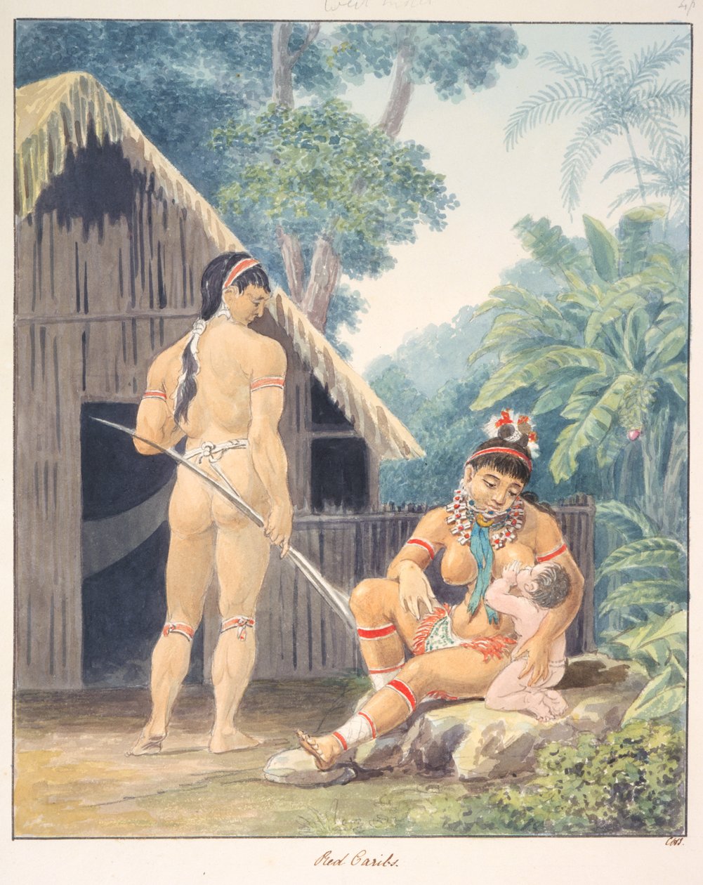 Czerwone Caribs, ok. 1843-50 (akwarela) autorstwa Unknown artist