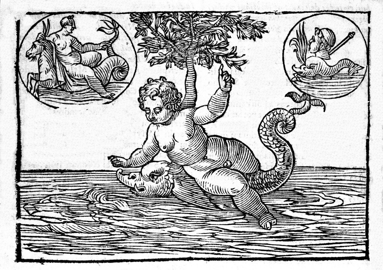Reprezentacja Ino, boga morza, i jego syna Palemona. Grawer z „Mitologii i bajek” hrabiego Natalii 1637 autorstwa Unknown artist