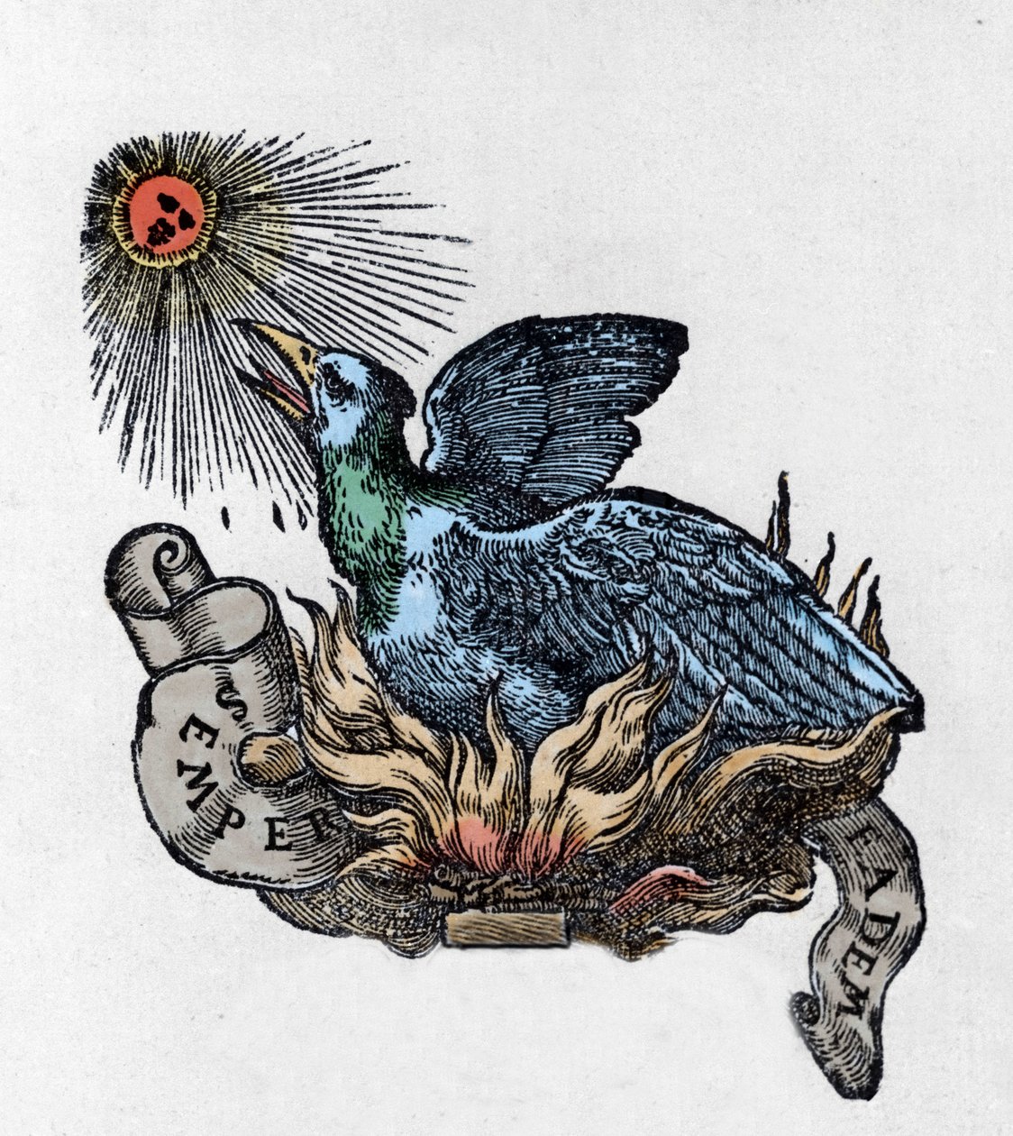 Przedstawienie Feniksa (lub feniksa), legendarnego ptaka, który odrodził się ze swoich popiołów. Rycina XIX wieku autorstwa Unknown artist