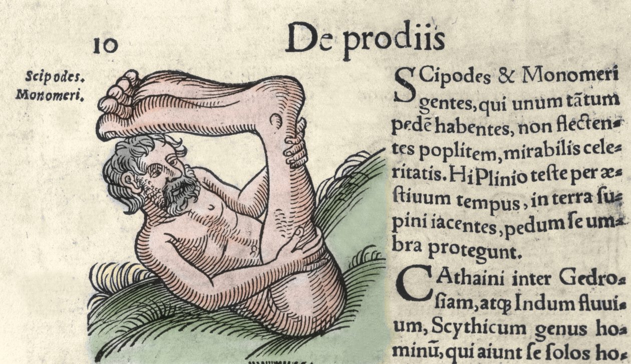 Przedstawienie potwora Sciapod Rycina z „Księgi Prodigiorum ac ostentorum Chronicon Basileae” Wolfharta (Konrada Lycosthene) 1557 autorstwa Unknown artist