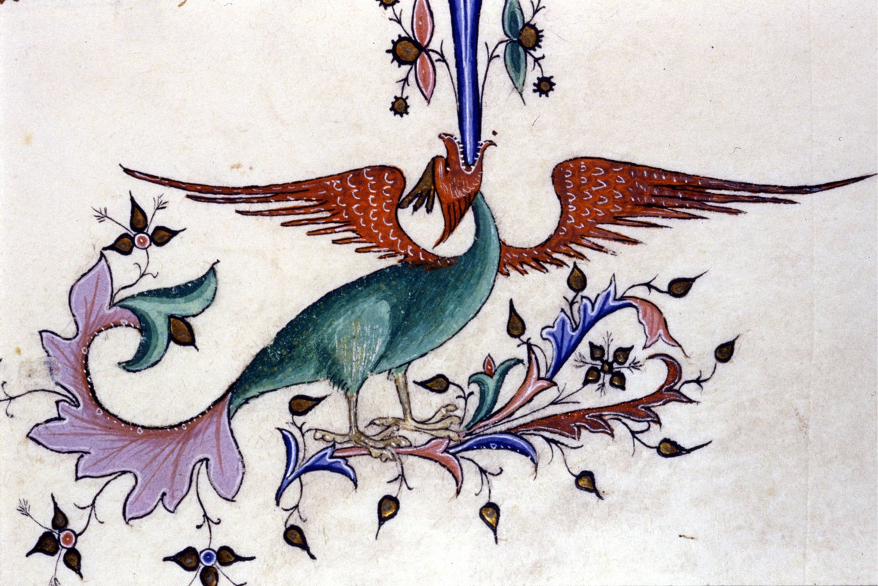 Reprezentacja skrzydła smoka. Miniatura rękopisu z XIV wieku. Mediolan, Biblioteca Nazionale Braidense. autorstwa Unknown artist