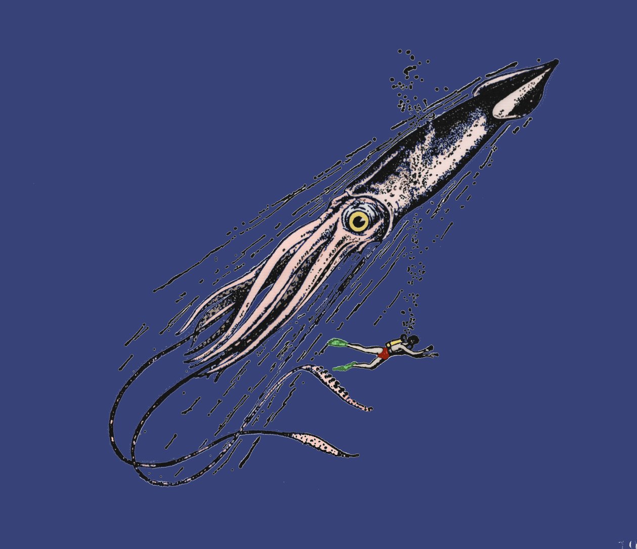Reprezentacja kałamarnicy olbrzymiej (Architeuthis) w skali człowieka. 19 wiek autorstwa Unknown artist