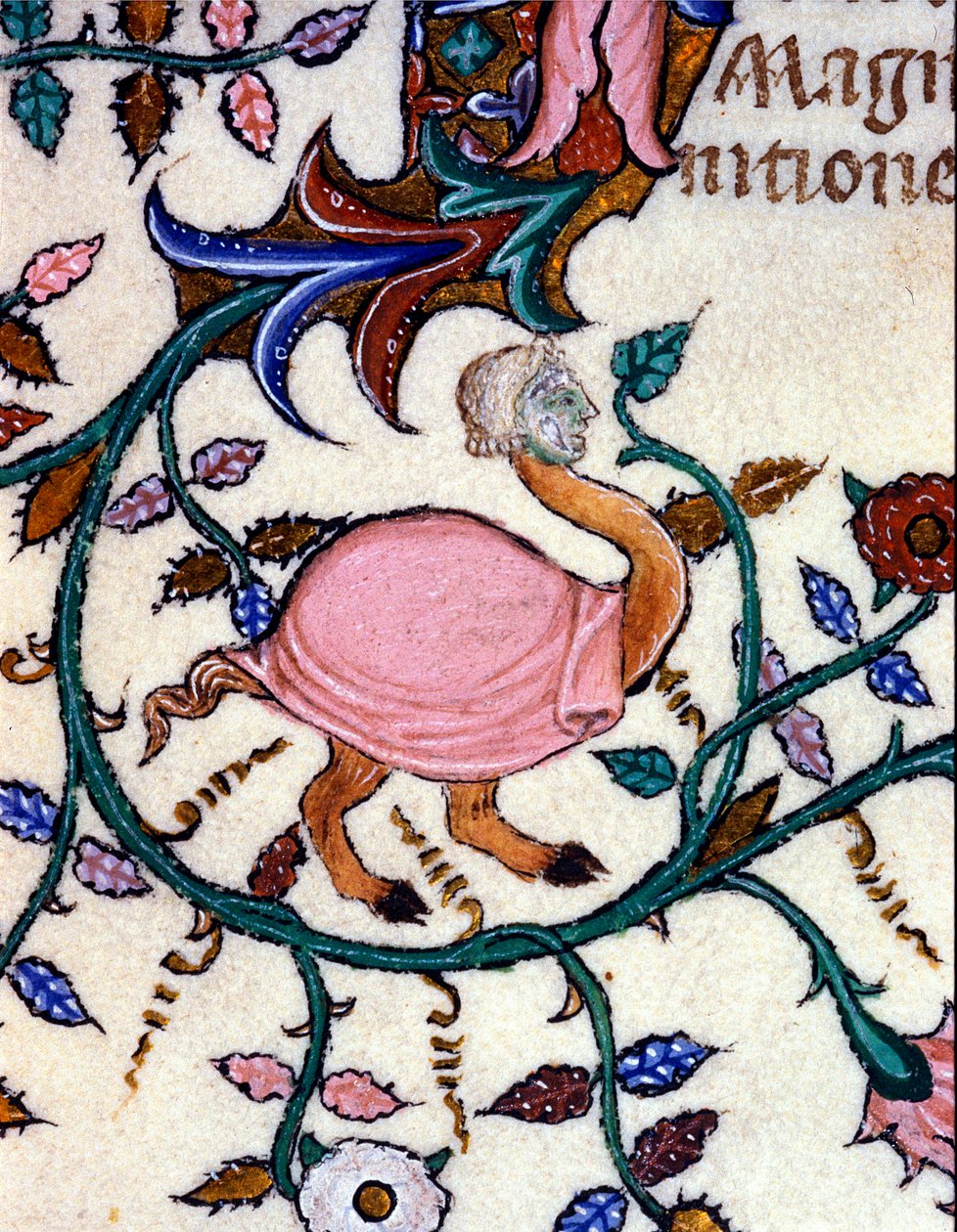 Przedstawienie potwora o ciele strusia i ludzkiej głowie. Miniatura rękopisu z XIV wieku. Mediolan, Biblioteca Nazionale Braidense. autorstwa Unknown artist