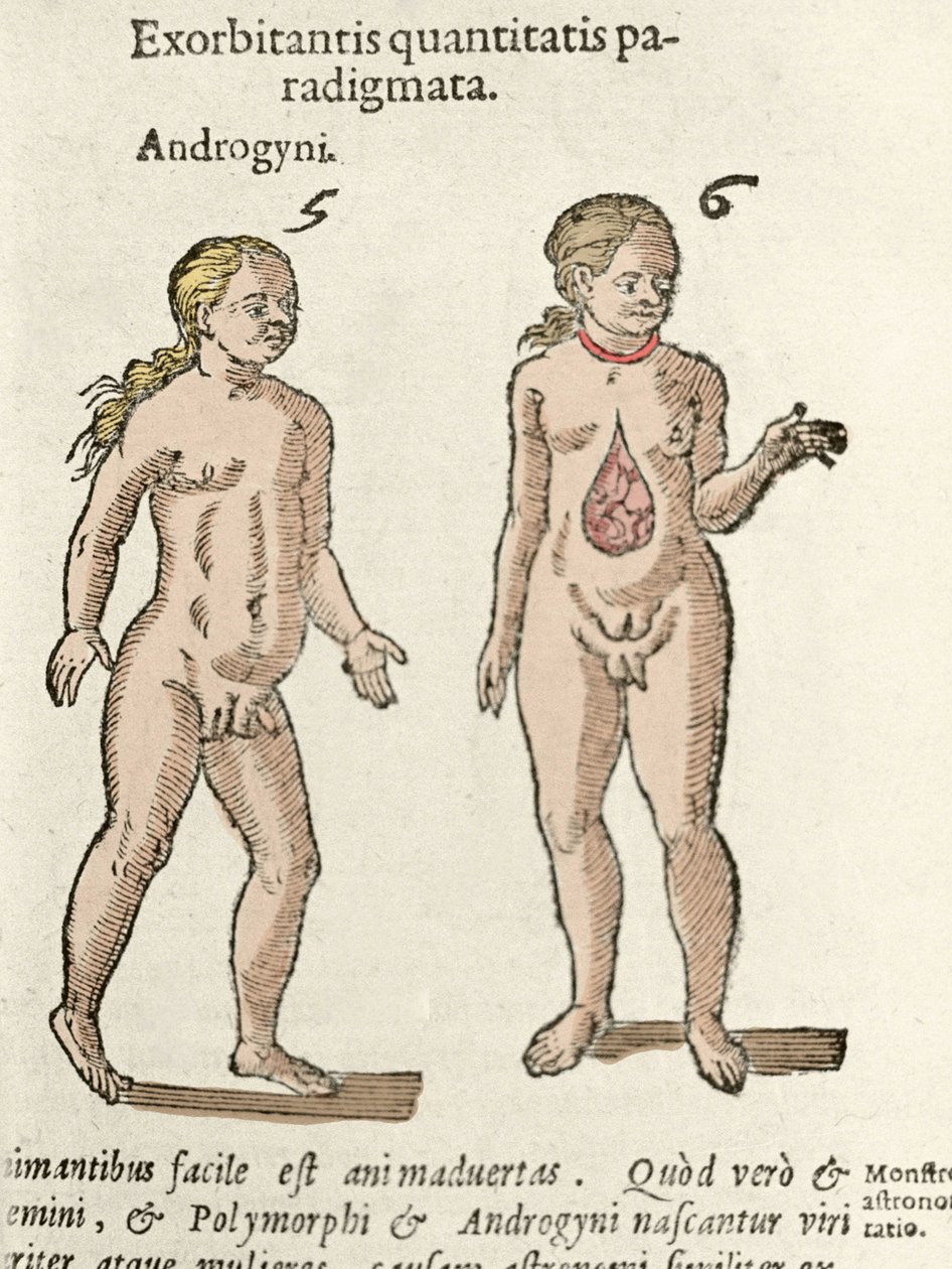 Reprezentacja androgynicznego i hermafrodyty. Talerz zaczerpnięty z De natura Divinis caracteris” Cornelio Gemma 1575 autorstwa Unknown artist