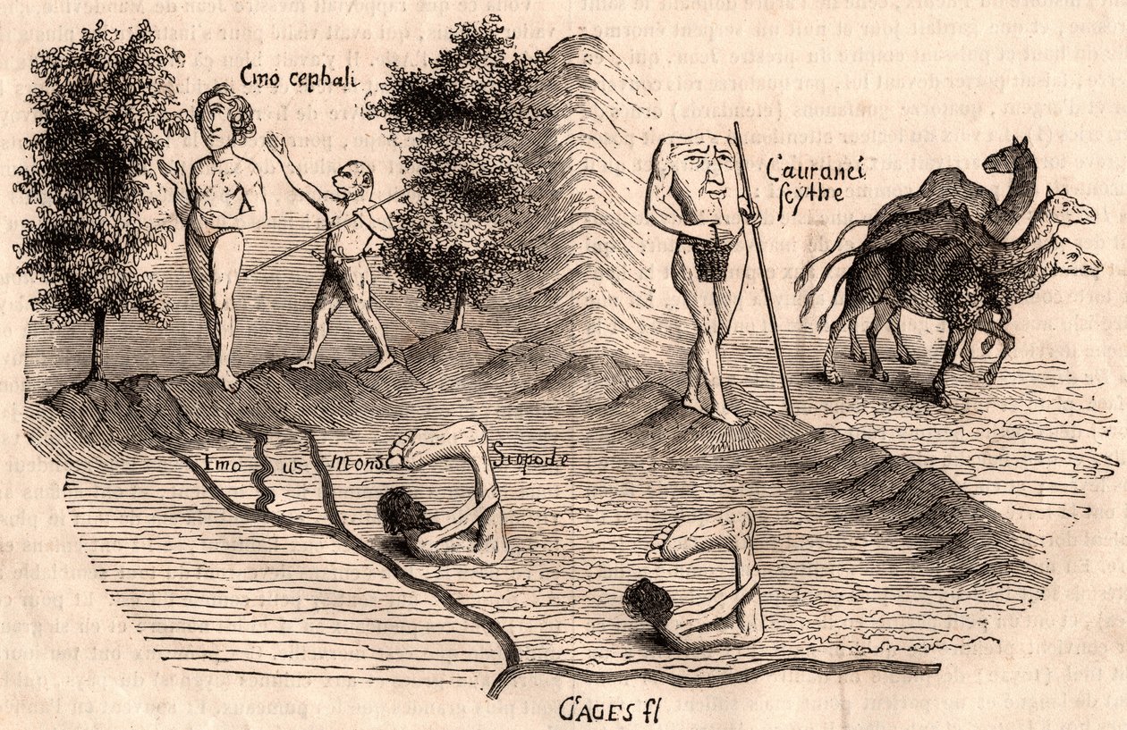 Reprezentacja średniowiecznych plemion i gatunków zwierząt: Monocules, Blemmys, Sciopodes i wielbłądy autorstwa Unknown artist