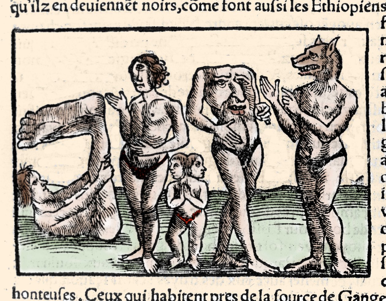 Przedstawienie potworów opisanych przez Amerigo Vespucciego (1451-1512): od lewej do prawej: manopod, cyklop, człowiek z dwiema głowami, człowiek bez głowy i człowiek z głową psa lub cynocefal. Xilografia zaczerpnięta z „Universal .” Sebastiena Munstera autorstwa Unknown artist