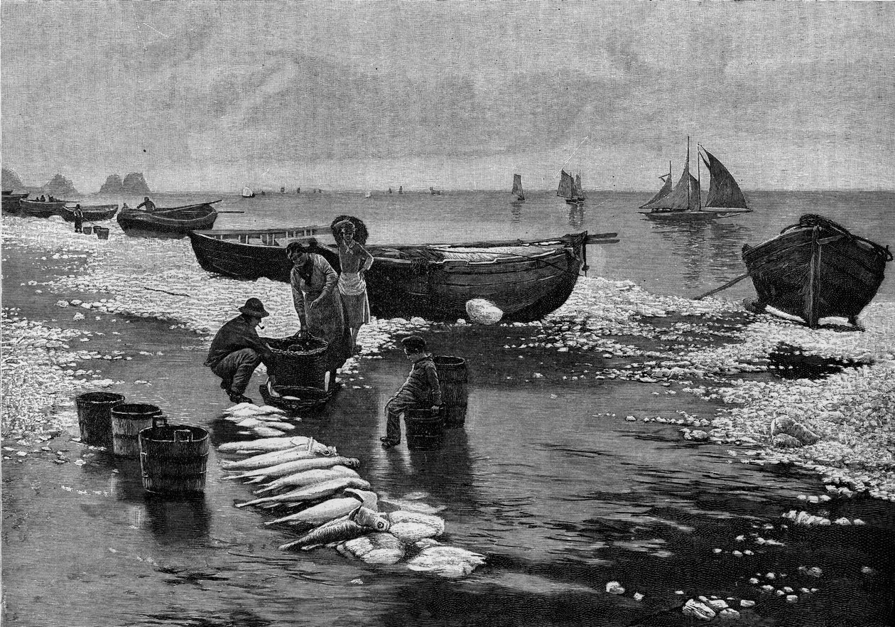 Powrót rybaków podczas strajku na Belle Isle (Belle-Isle) w Bretanii. Grawerowanie w „” Le Journal de la jeunesse”” autorstwa Unknown artist