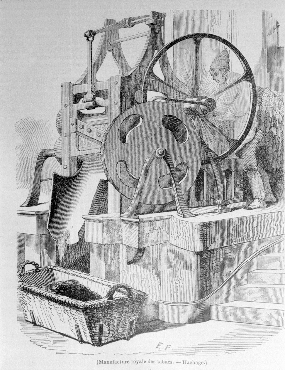 Royal Tobacco Factory: tytoń haszowy. autorstwa Unknown artist