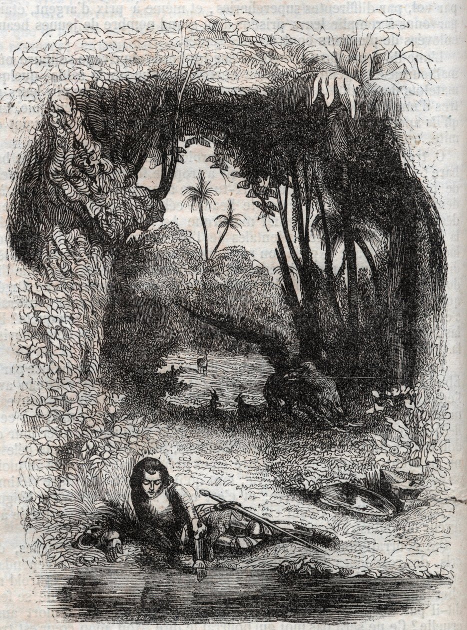 Ruggiero na wyspie Alcina, - 1851 rycina z poematu Orlando furioso (1516) Ludovico Ariosto, - Wydanie przetłumaczone z języka włoskiego przez hrabiego Tressan i opublikowane przez Gustave