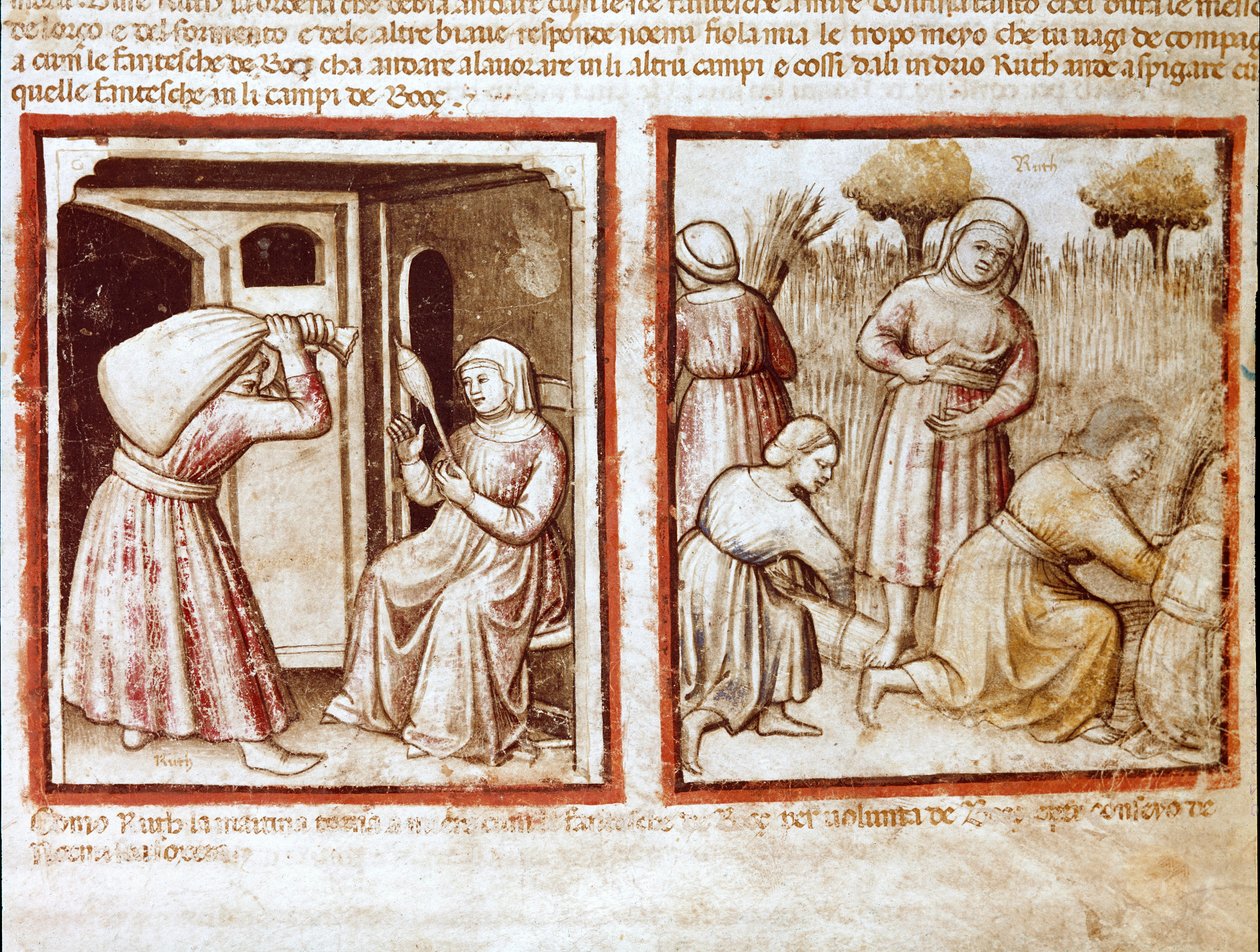 Ruth i Noemi (Naomi, Noemie) pracujące na polach Boaz (Booz) Miniatura z kodeksu 212 (lub kodeks padovano lub Biblia z Padwy) 1390-1400 Rovigo, Accademia dei Concordi autorstwa Unknown artist