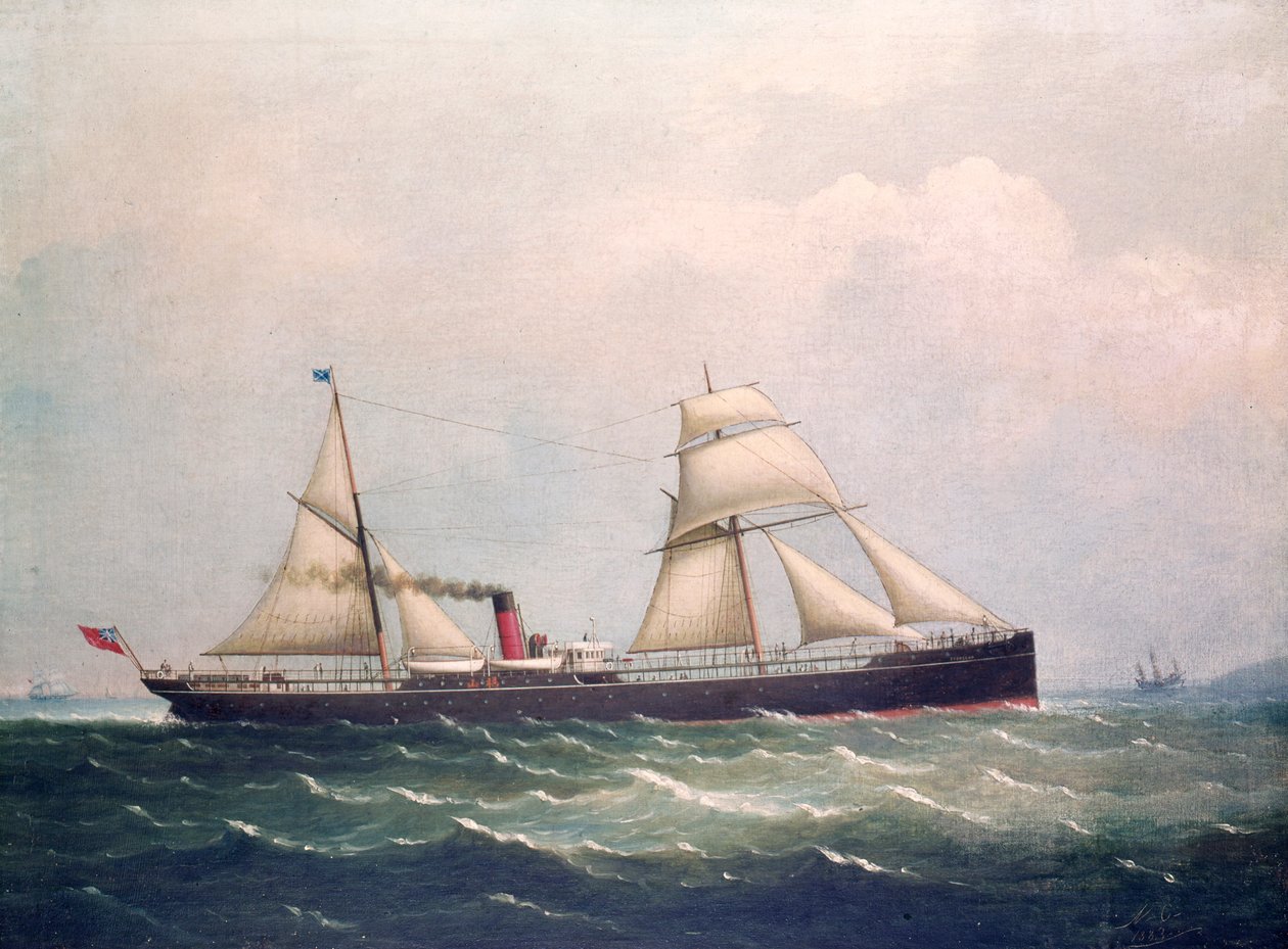 S.S Fooksang (olej na płótnie) autorstwa Unknown artist