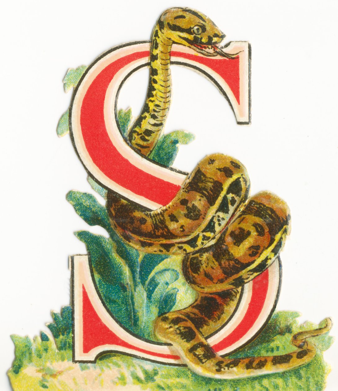 S: Wąż autorstwa Unknown artist
