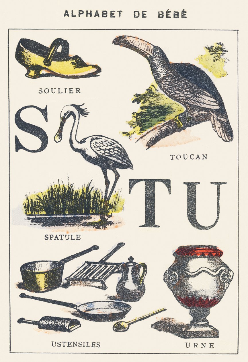S T U: but, szpatułka, tukan, sztućce, urna autorstwa Unknown artist