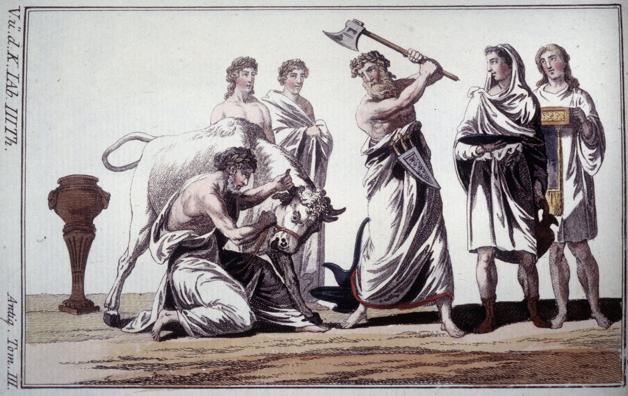 Ofiara byka. Zwyczaj w starożytności rzymskiej. Grawerowanie z początku XIX wieku. autorstwa Unknown artist