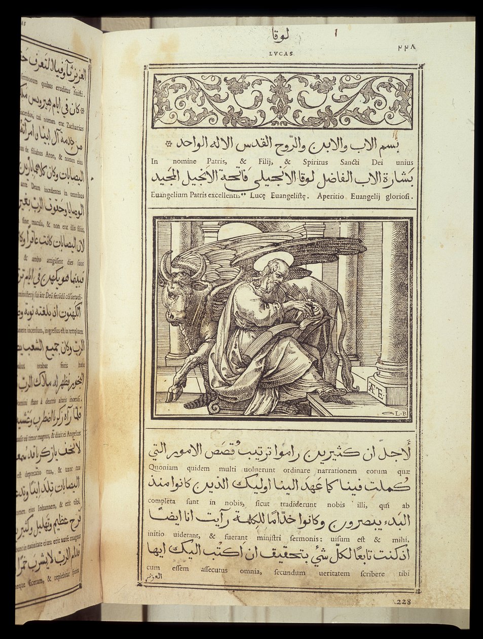 Św. Łukasz Ewangelista w „Biblii”” napisanym po łacinie i arabsku. autorstwa Unknown artist