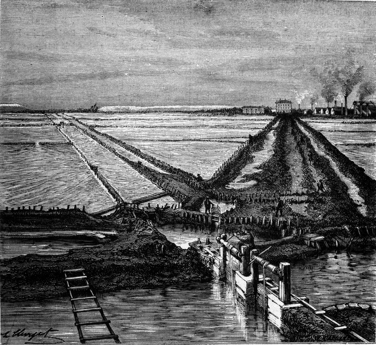 Produkcja soli: widok na solankę (solne bagno) na wybrzeżu Morza Śródziemnego. Rycina XIX wieku autorstwa Unknown artist