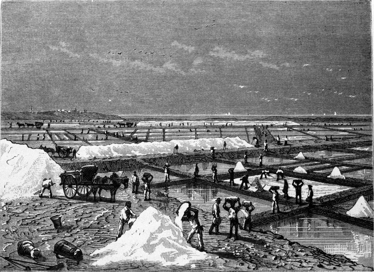 Produkcja soli: widok na słone bagno (solanka) XIX-wieczny grawer autorstwa Unknown artist