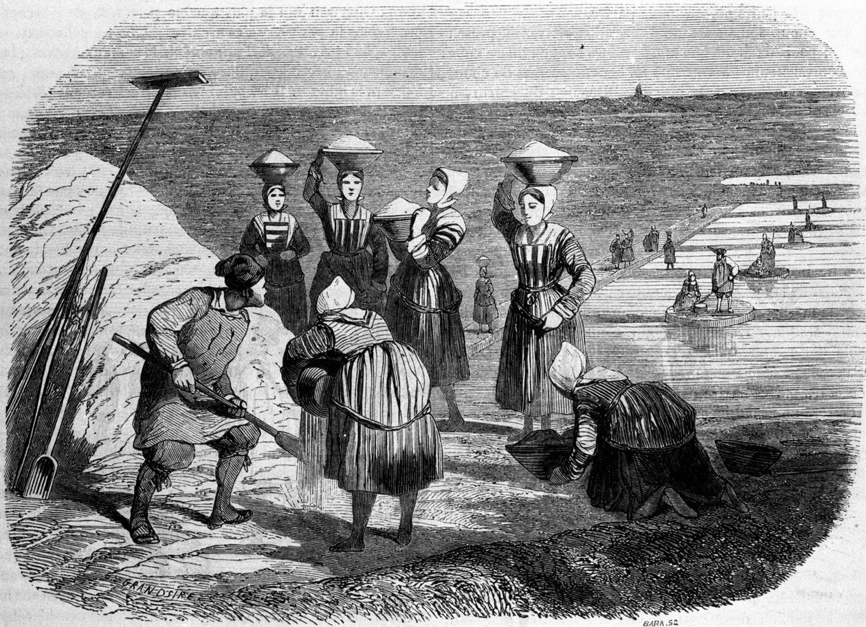 Produkcja soli: kobiety pracujące na słonych bagnach. Grawerowanie z XIX wieku autorstwa Unknown artist