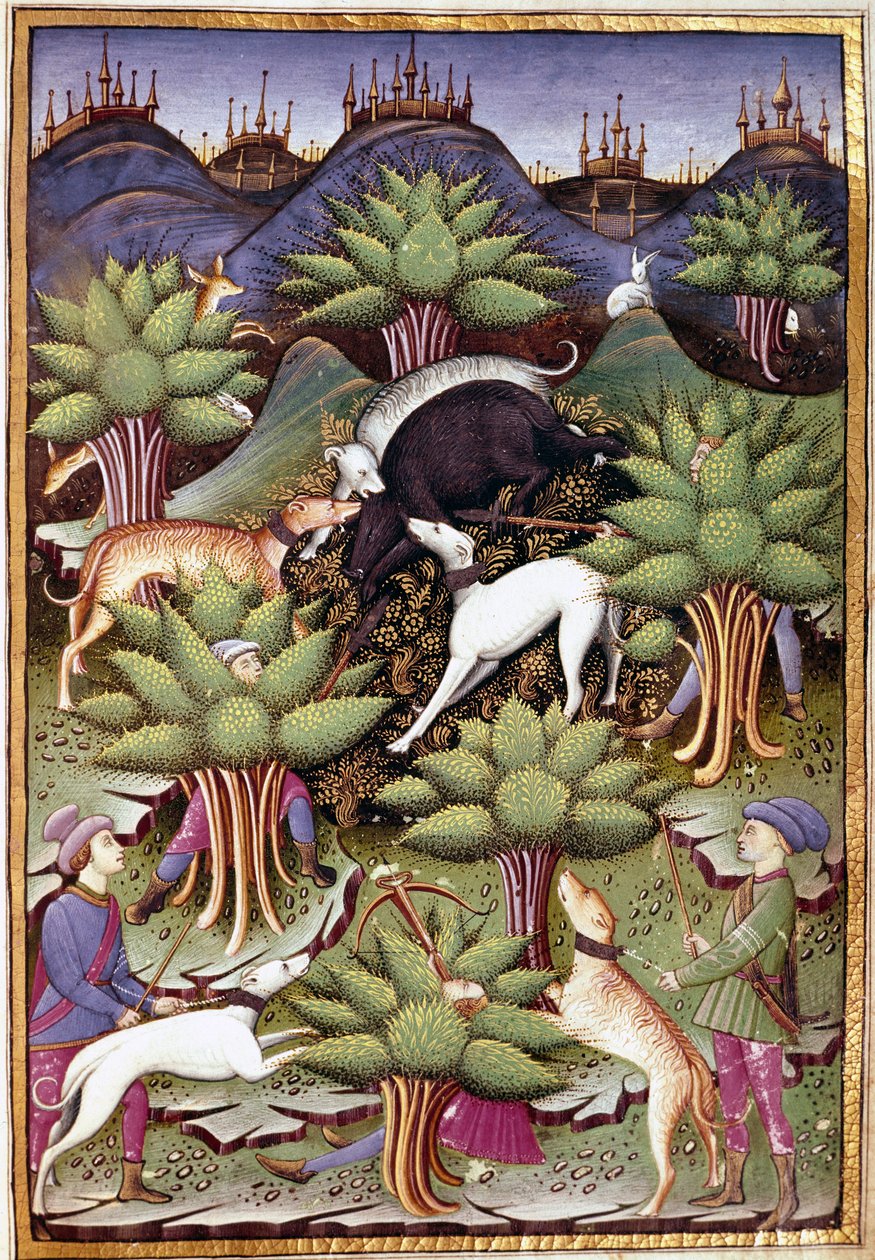 Scena polowania na dzika Miniatura z „”Leat sokolnictwo i venerie z mottem i godłem księcia Sforza” 1459 (ms. 1375) Chantilly, Musee Conde autorstwa Unknown artist