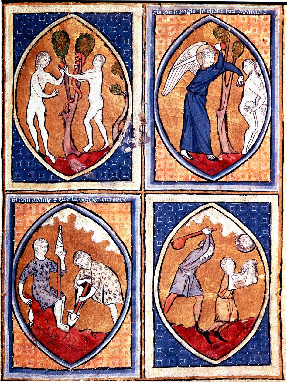 Sceny z Biblii przedstawione na mandorach. Adam i Ewa zbierają zakazany owoc, a potem polują z nieba. Tam na dole Adam uprawia ziemię, a Ewa daje wełnę, Kaina i Abla. Miniatura z XIII-wiecznego rękopisu. Porto, Biblioteka Miejska autorstwa Unknown artist