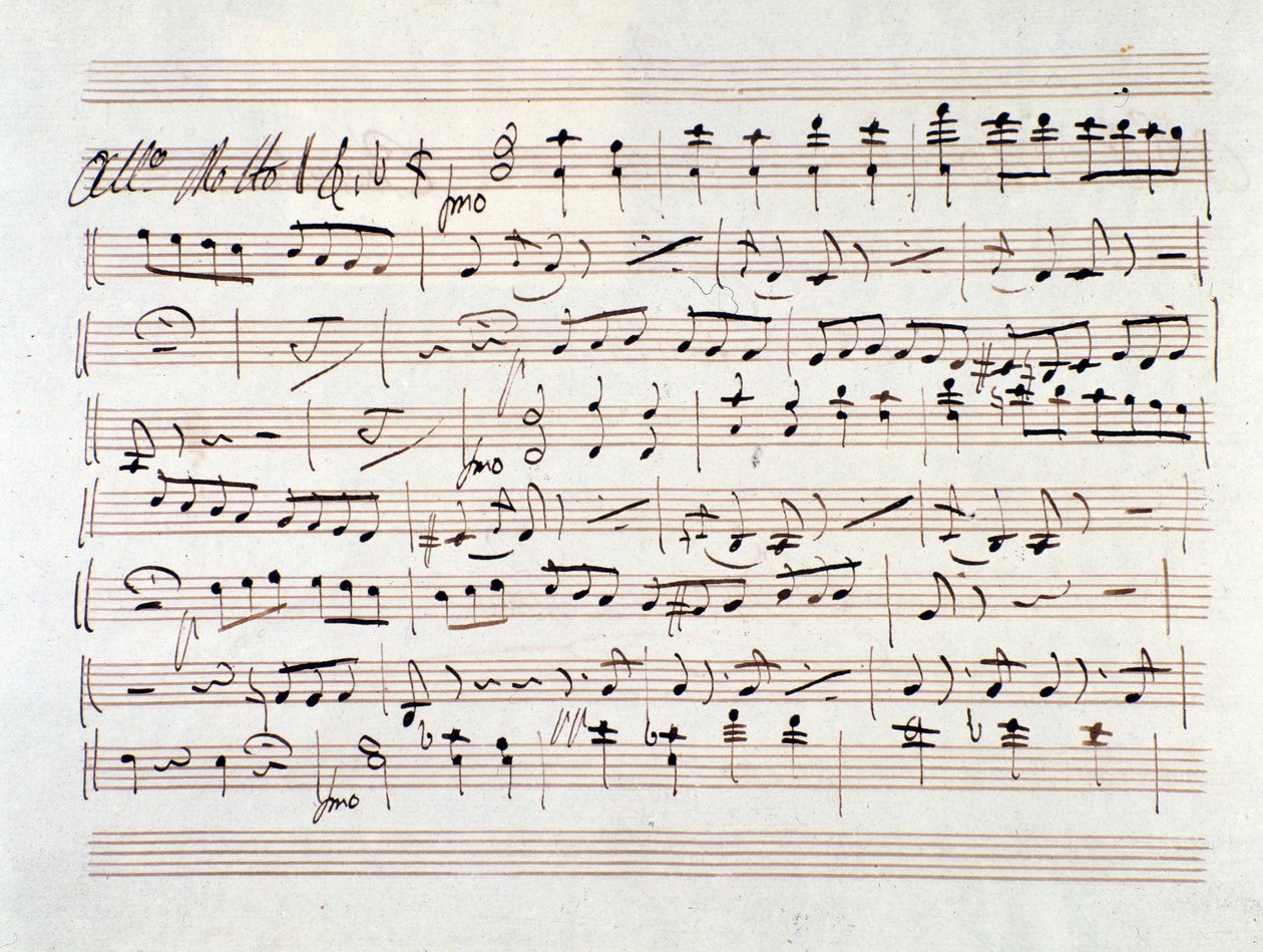Nuty dla Ali Baby, opera Luigiego Cherubiniego autorstwa Unknown artist