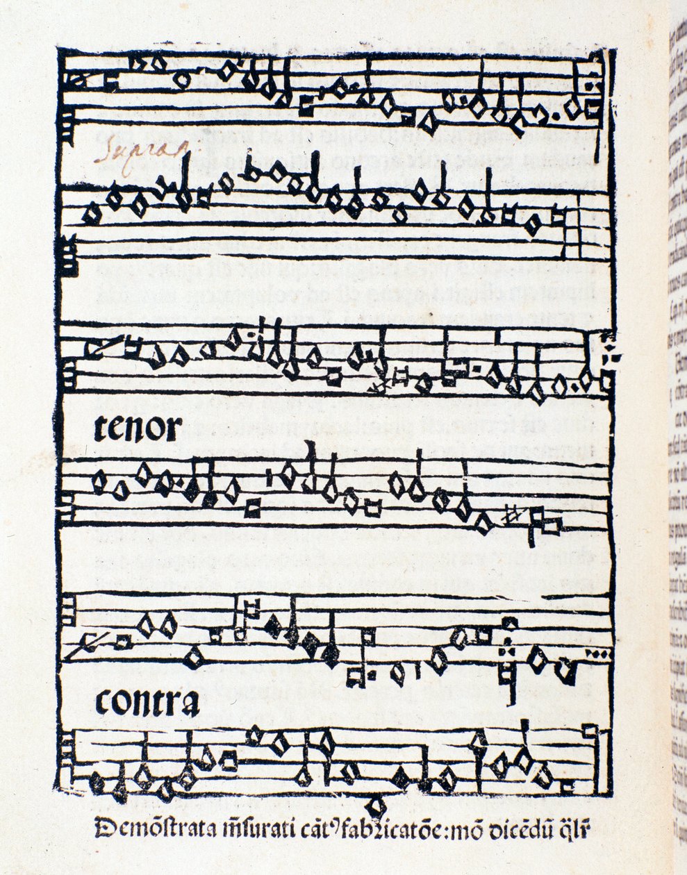 Strona z nutami do opracowań i dokumentów muzykologicznych autorstwa Nicola Burzio autorstwa Unknown artist