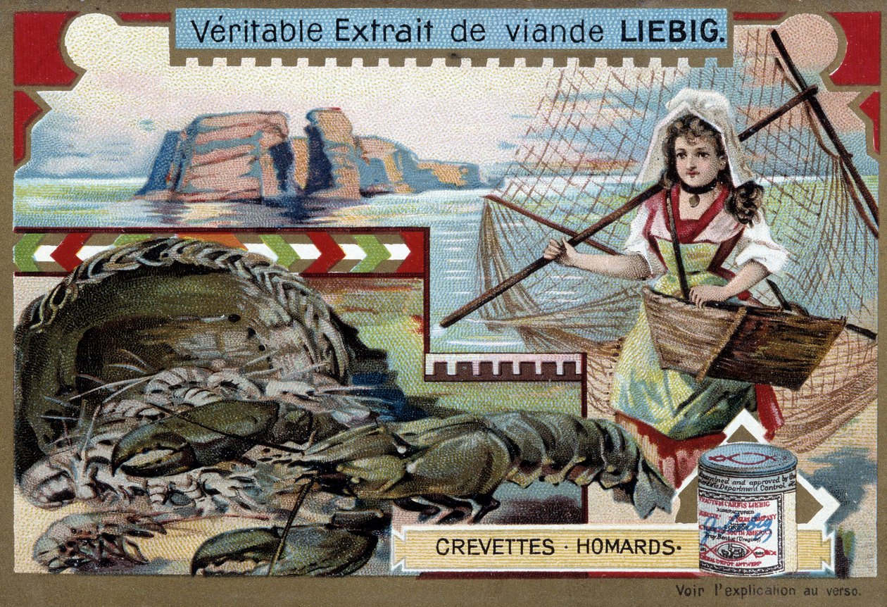 Krewetki i homary, z młodą rybaczką, niosącą swój koszyk i dużą sieć - chromolitografia Liebiga autorstwa Unknown artist