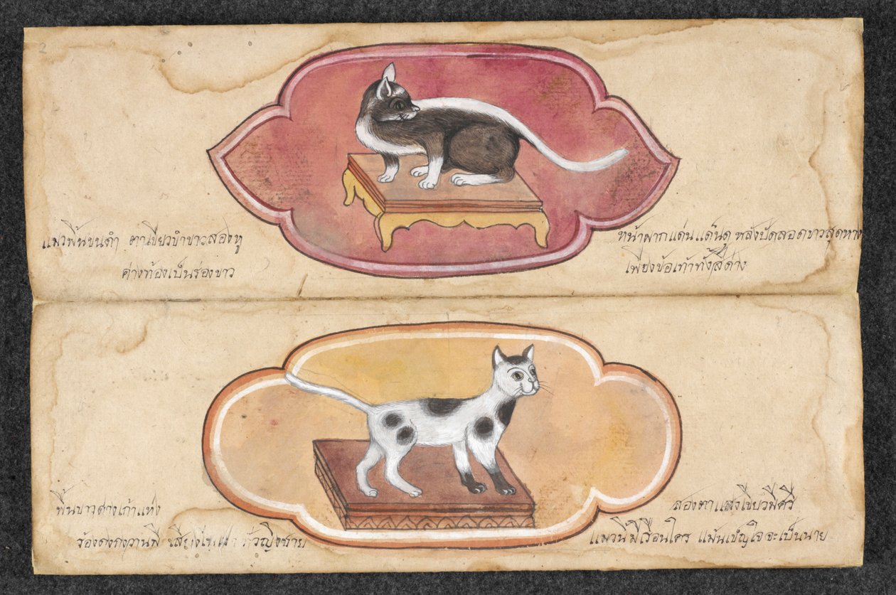 Koty Syjamskie autorstwa Unknown artist