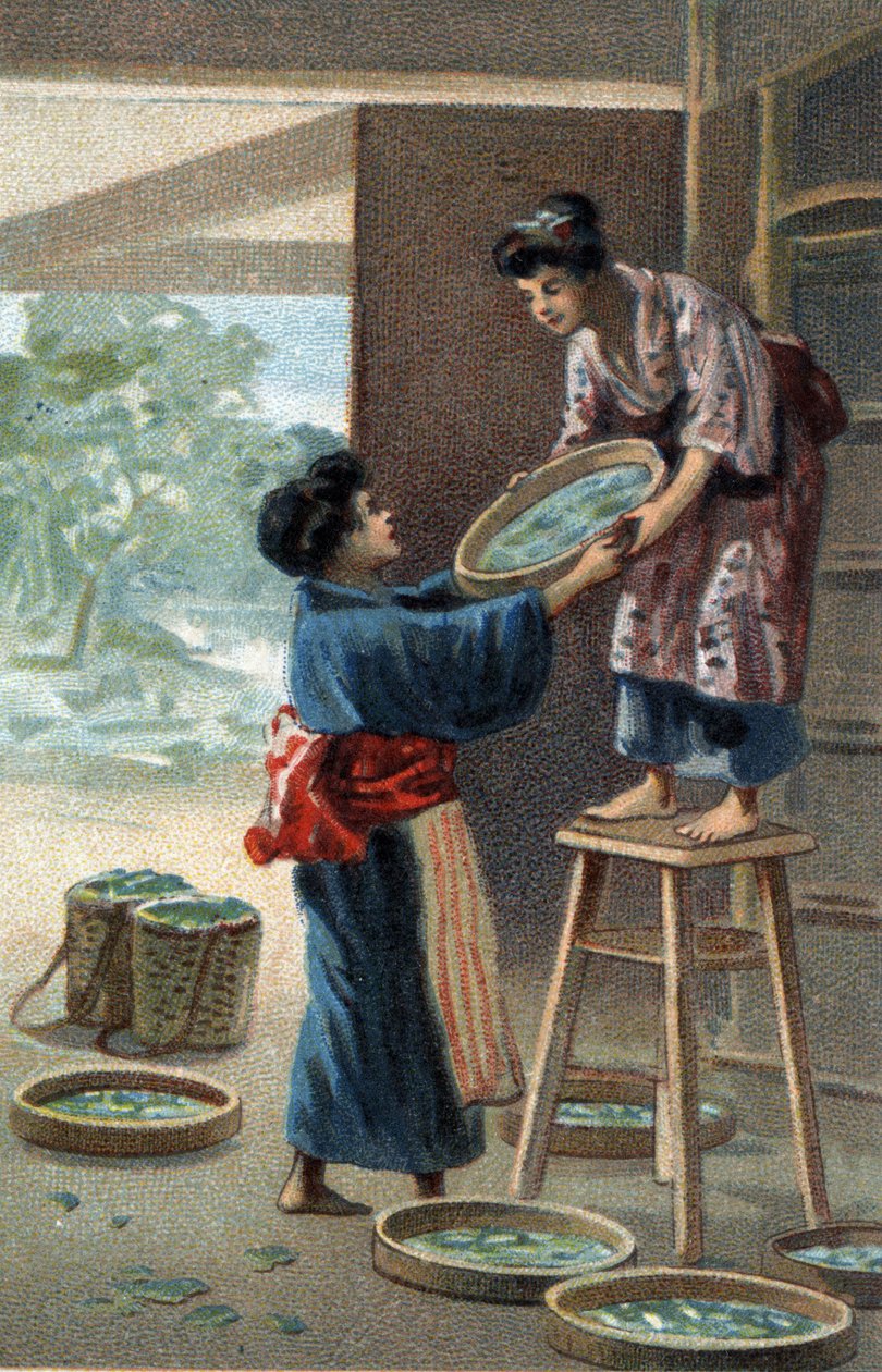 Hodowla jedwabników w japońskim magnesie. Chromolitografia z końca XIX wieku. autorstwa Unknown artist