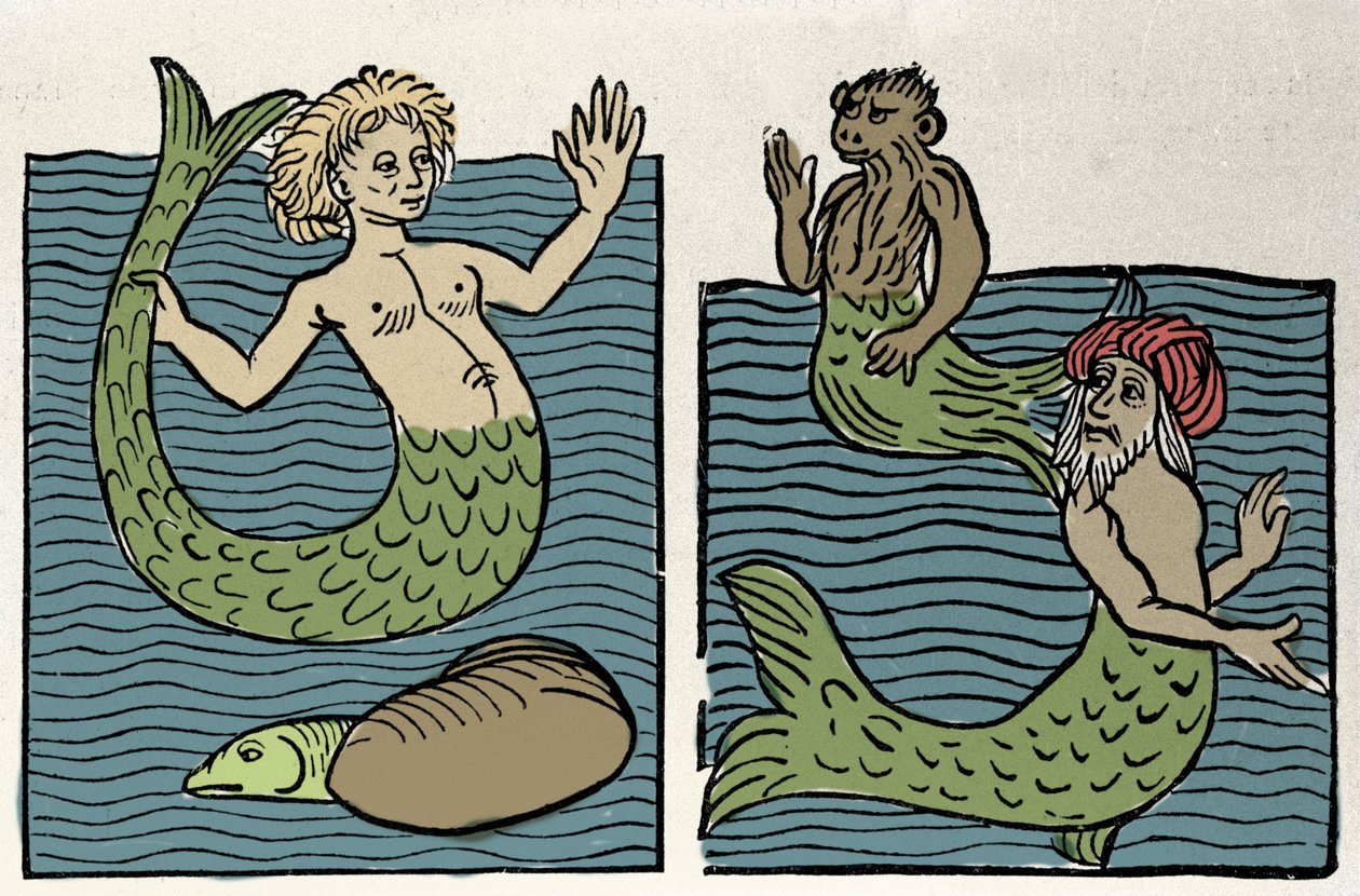 Sirene lub Virgin of the Sea, Monkey and Sea Turk. Grawer z „Hortus sanitatis”” autorstwa Unknown artist