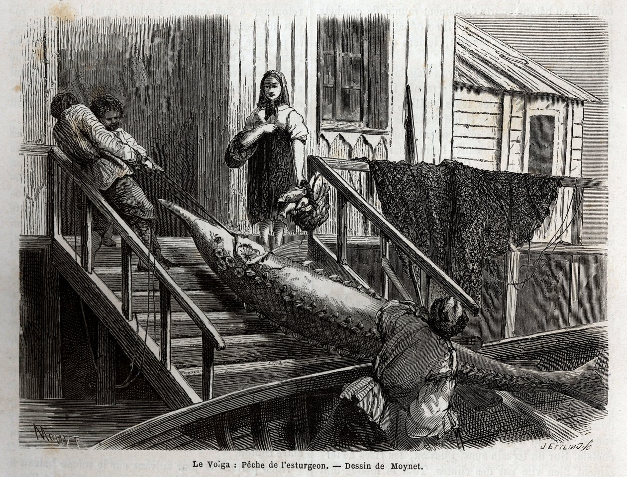 Łowienie jesiotra u ujścia Wołgi. Grawer ilustrujący podróż po Wołdze M.Moyneta w 1864 r. w „Le tour du monde, nouveau journal des voyages” wydanej pod kierunkiem Edouarda Chartona autorstwa Unknown artist