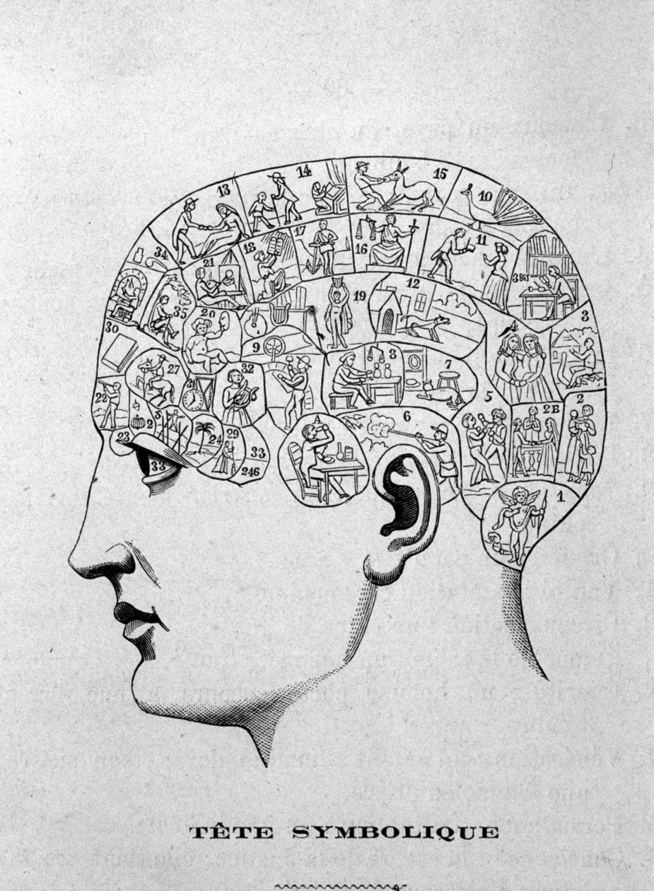 Symboliczna głowa. ilustracja z książki Charlesa Rouvina z 1873 r. La Tête humaine, ilustrowane studia z zakresu frenologii i fizjonomii zastosowane do znanych postaci Paryż 1873 autorstwa Unknown artist