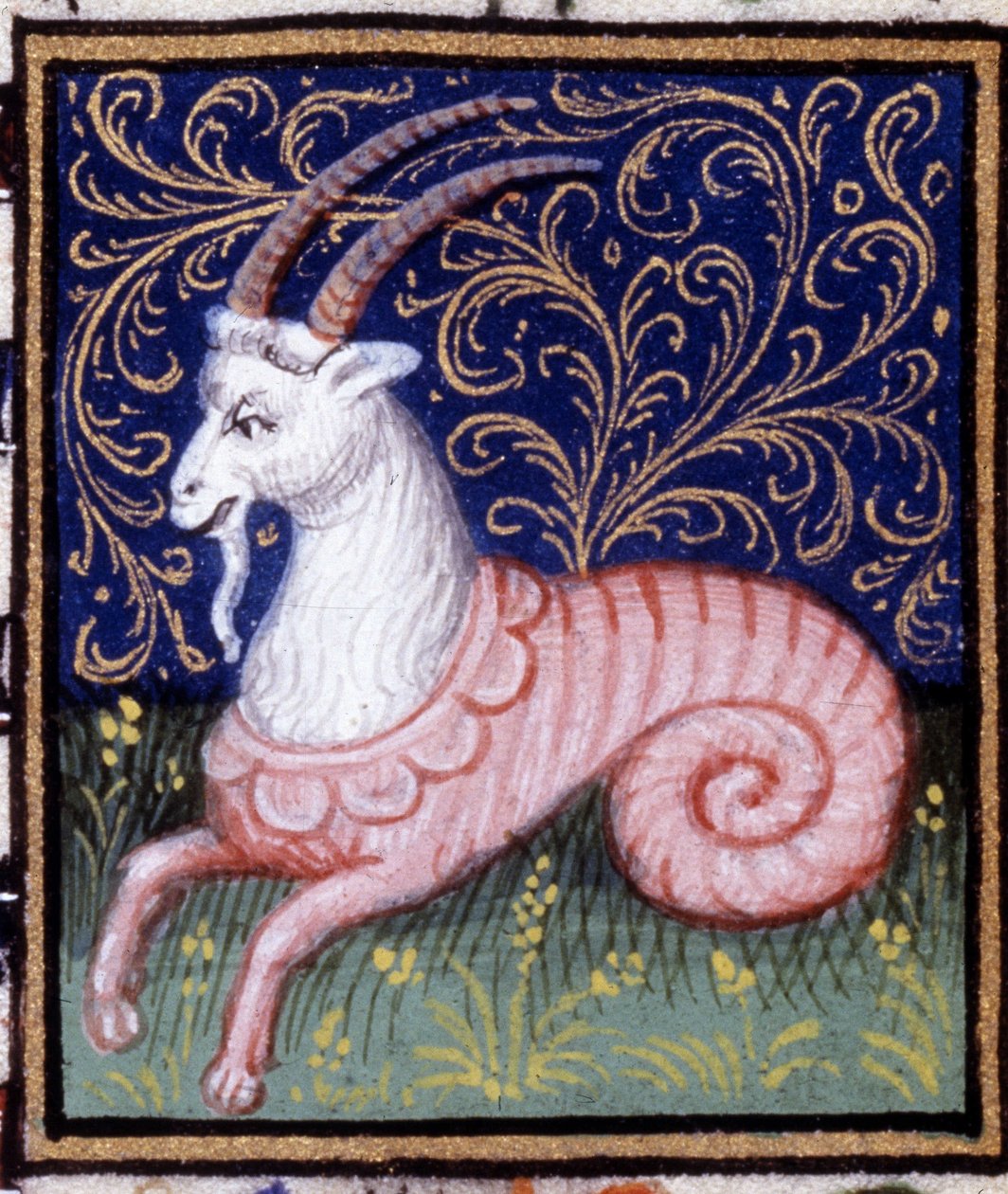 Koziorożec. Miniatura horoskopu. Rękopis z XV wieku. Biblia Trivulziana, Mediolan. autorstwa Unknown artist