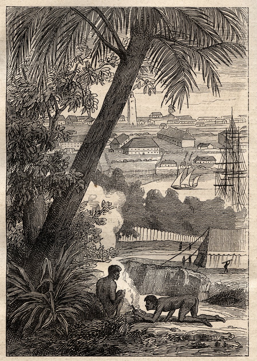 Wyprawa na Ziemie Południowe (1800-1803) Nicolasa Baudina (1754-1803): Widok na Sydney (Australia) – ilustracja z „Wielkich Marynarzy XVIII wieku”” autorstwa Unknown artist