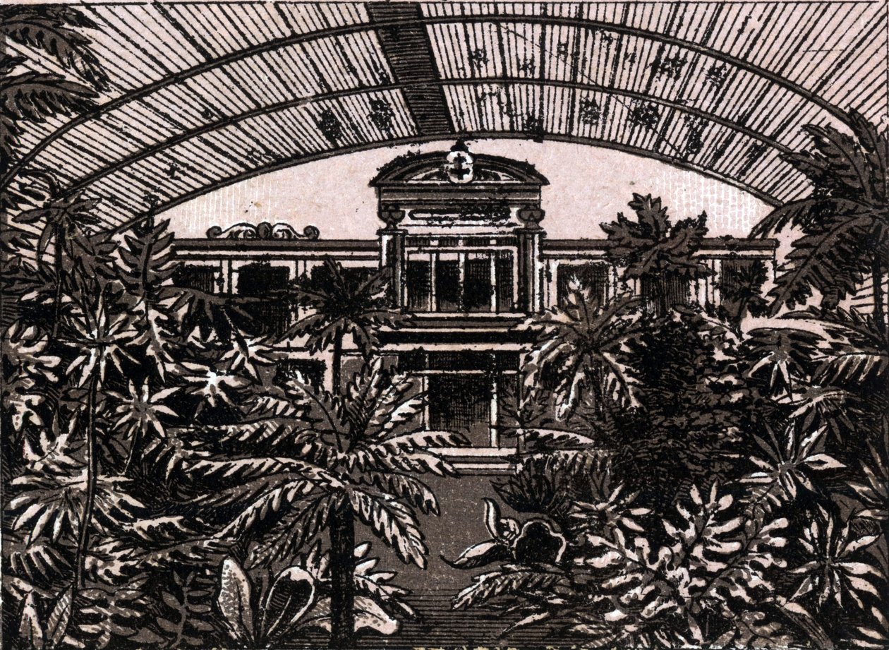Ogród palmowy we Frankfurcie, Niemcy (Frankfurt, Niemcy) w „The World Illustrates 168 Views” bez daty (koniec XIX wieku) autorstwa Unknown artist