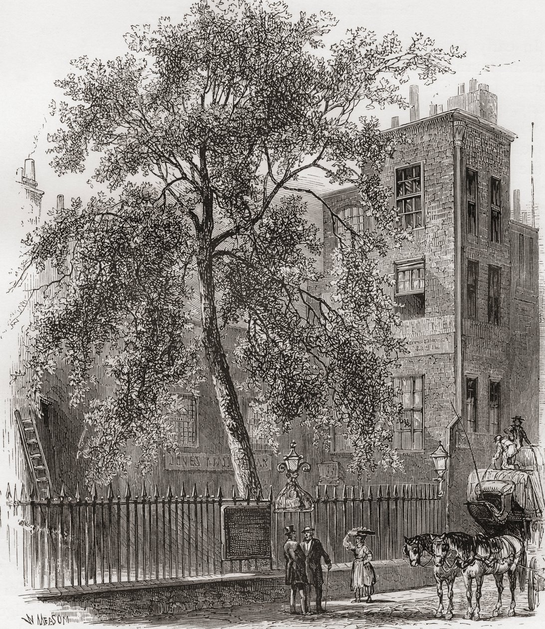 The Plane Tree, Wood Street, Cheapside, Londyn, Anglia w XIX wieku autorstwa Unknown artist