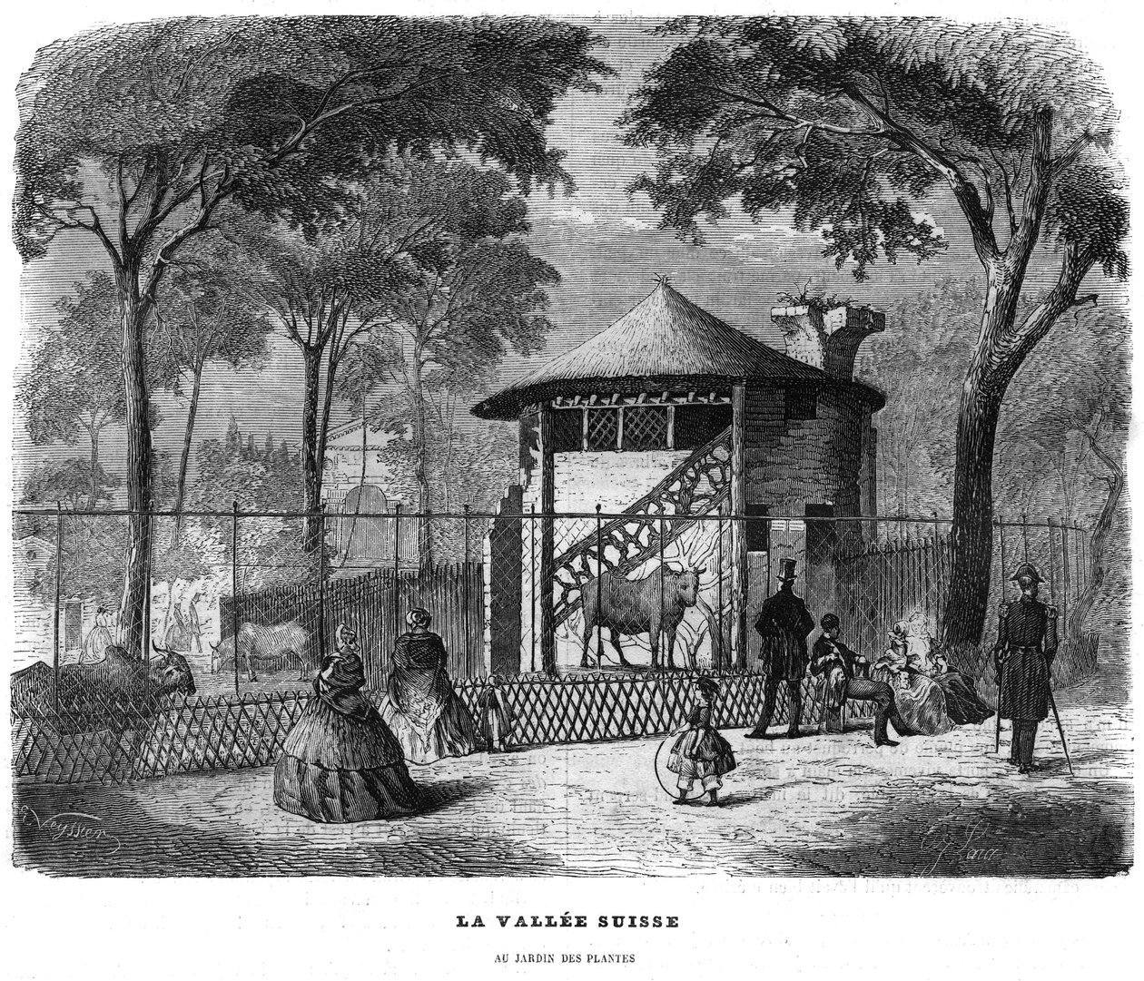 Dolina szwajcarska w ogrodzie roślin w Paryżu w 1858 roku. autorstwa Unknown artist