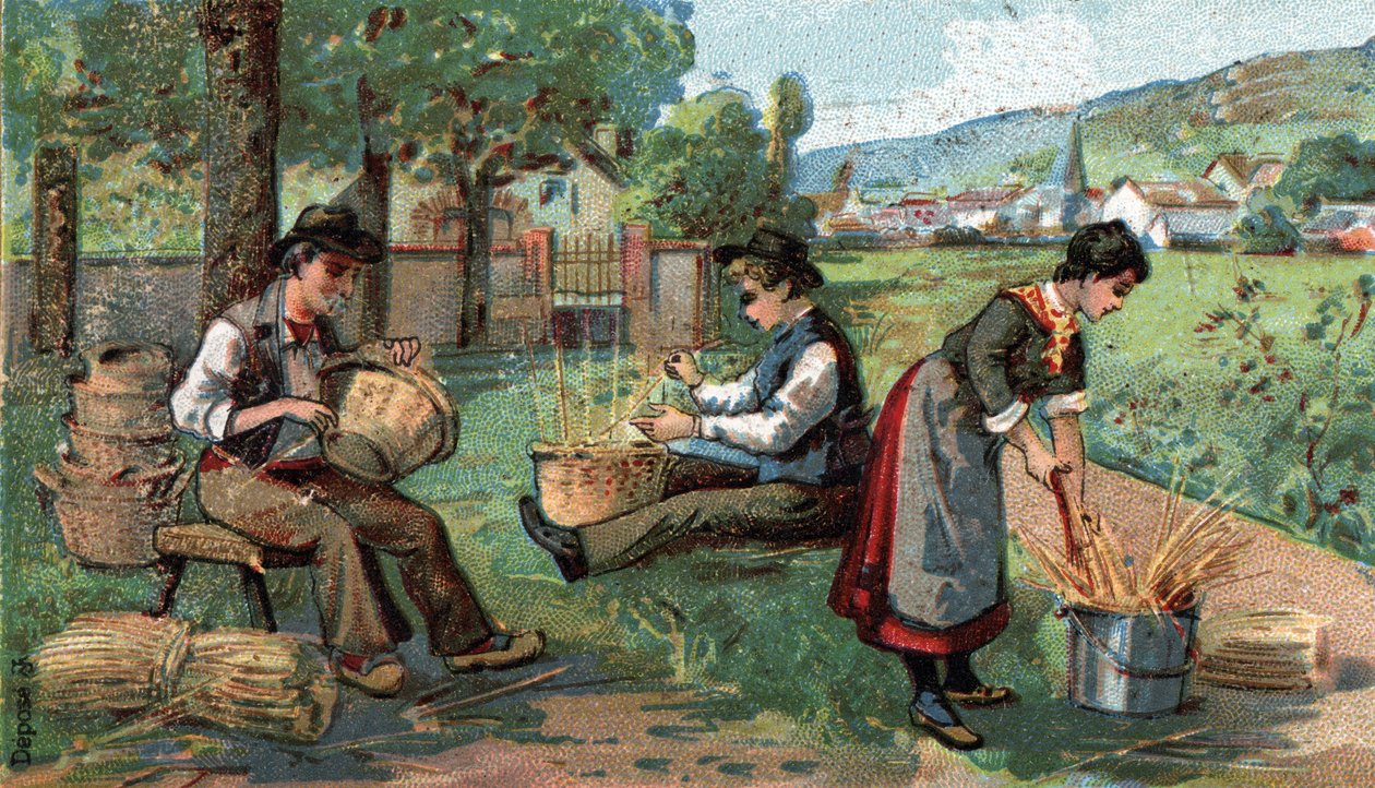Vanniera. Chromolitografia z końca XIX wieku autorstwa Unknown artist