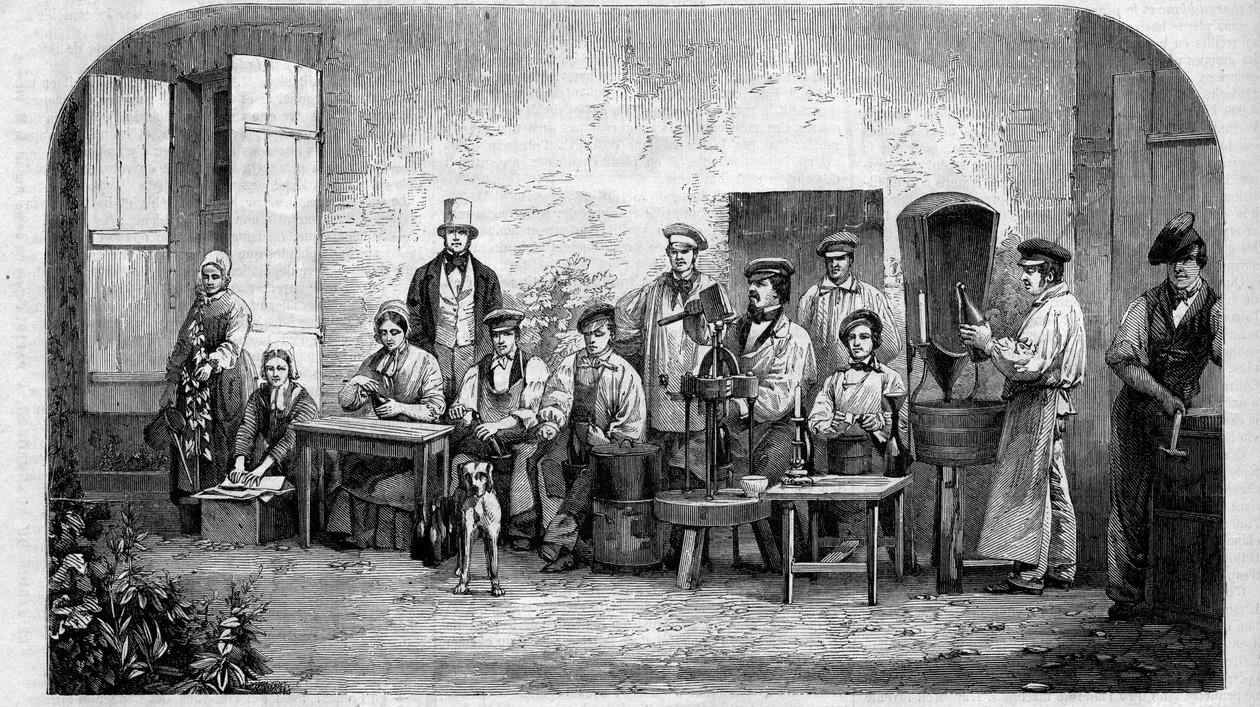 Butelkowanie wina szampana. Grawerunek z 1864 roku. autorstwa Unknown artist