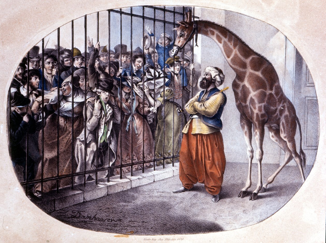 Zaciekawiony tłum rzucił się, by zobaczyć żyrafę za bramą. Litografia autorstwa Danhaarena. 1829 autorstwa Unknown artist
