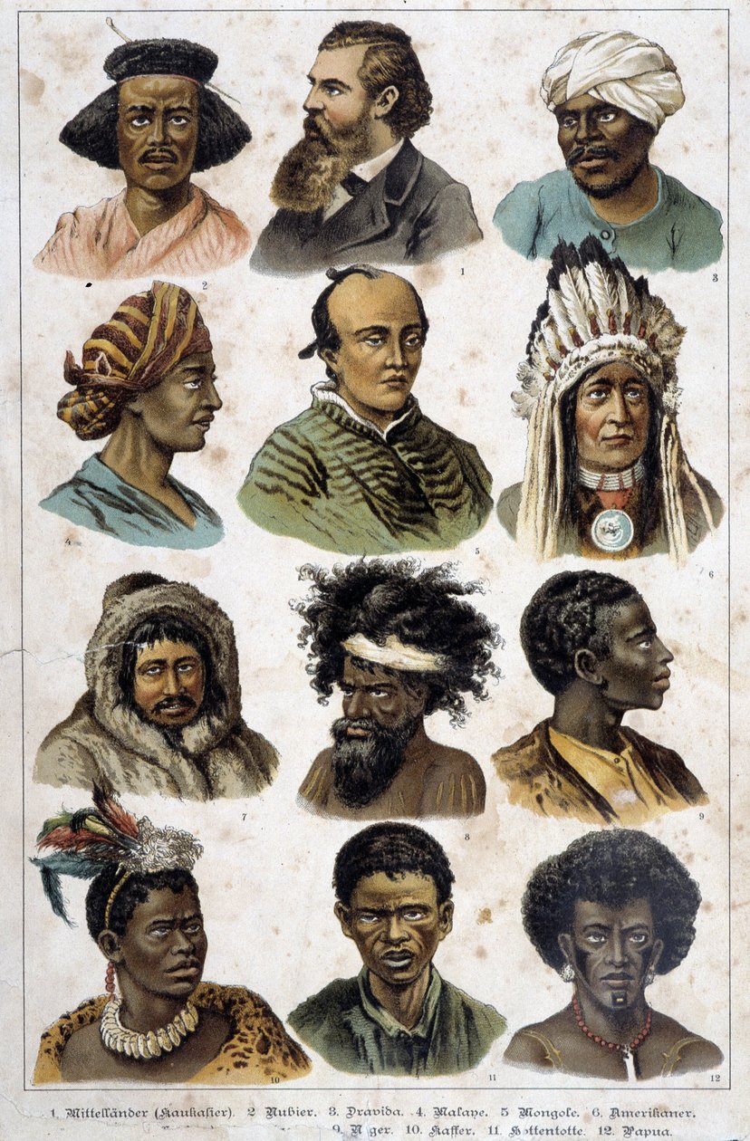 Różne rasy ludzkie - w „Naturalne historie ssaków”, wyd. Schreiber autorstwa Unknown artist