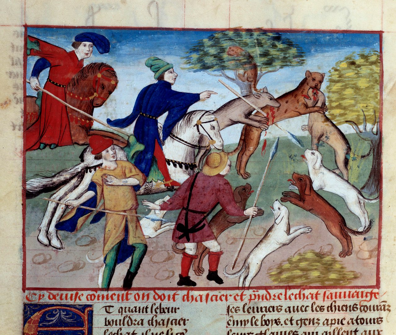 Polowanie na dzikiego kota Miniatura zaczerpnięta z „Księgi polowań” Gastona III Phoebusa, hrabiego Foix, Lorda Bearn (1331-1391) autorstwa Unknown artist