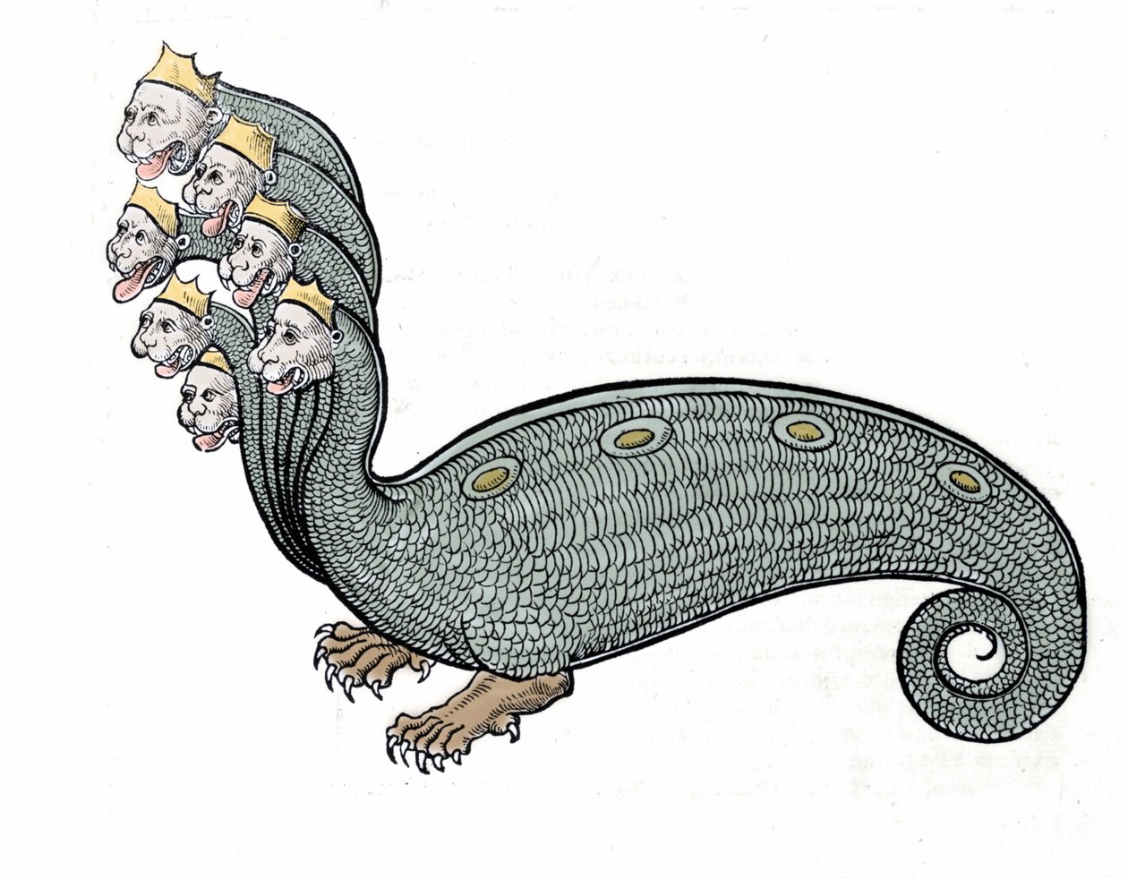 Hydra z siedmioma głowami to wąż wodny o psim ciele. autorstwa Unknown artist