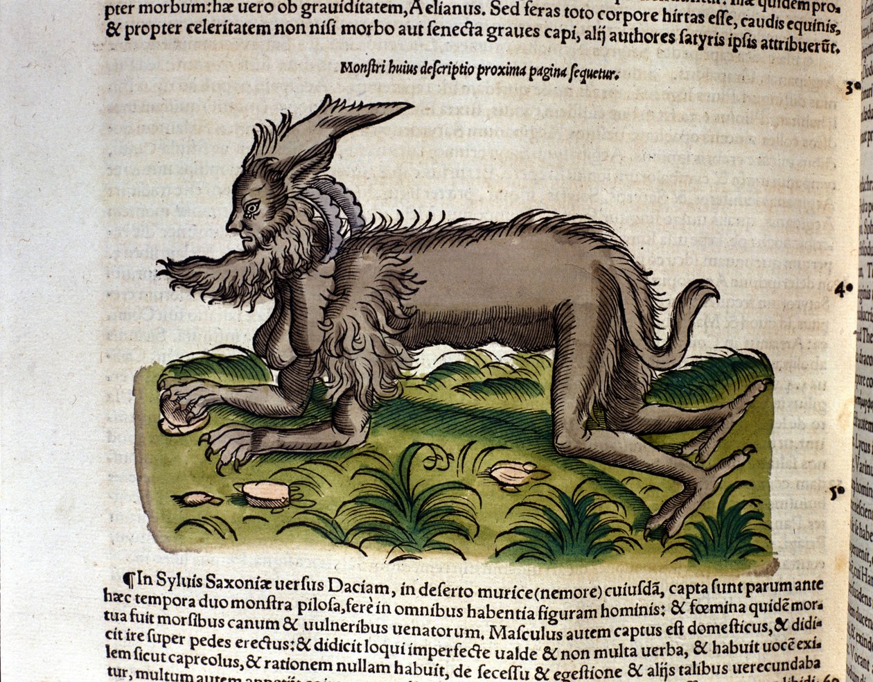 Mantykora z Historii Animalium Conrada Gesnera, Tiguri 1560. Biblioteca Nazionale Braidense. Mediolan autorstwa Unknown artist