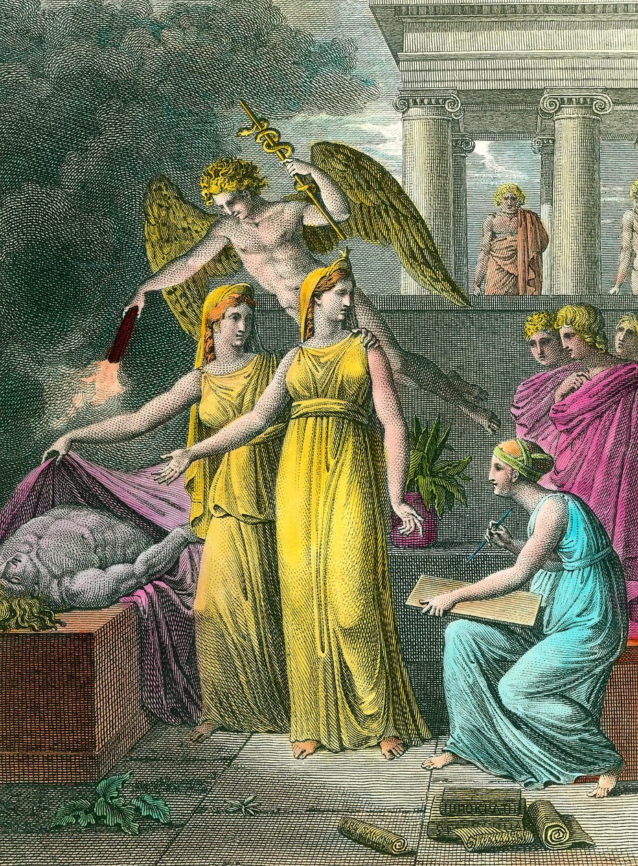 Medycyna kierowana przez badanie ma nowe obserwacje anatomiczne pod okiem obrazu Grawerunek XIX-wiecznej Kolekcji szczególnej autorstwa Unknown artist
