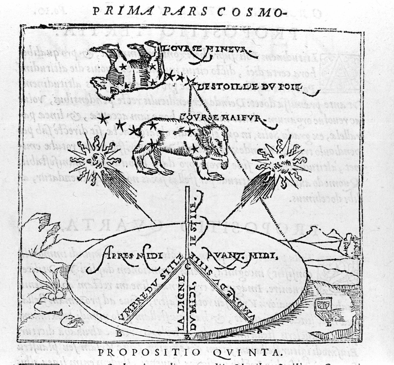 Gwiazda polarna i konstelacje Niedźwiedzia według „kosmografii” Pietra Apianusa. Paryż 1551 autorstwa Unknown artist