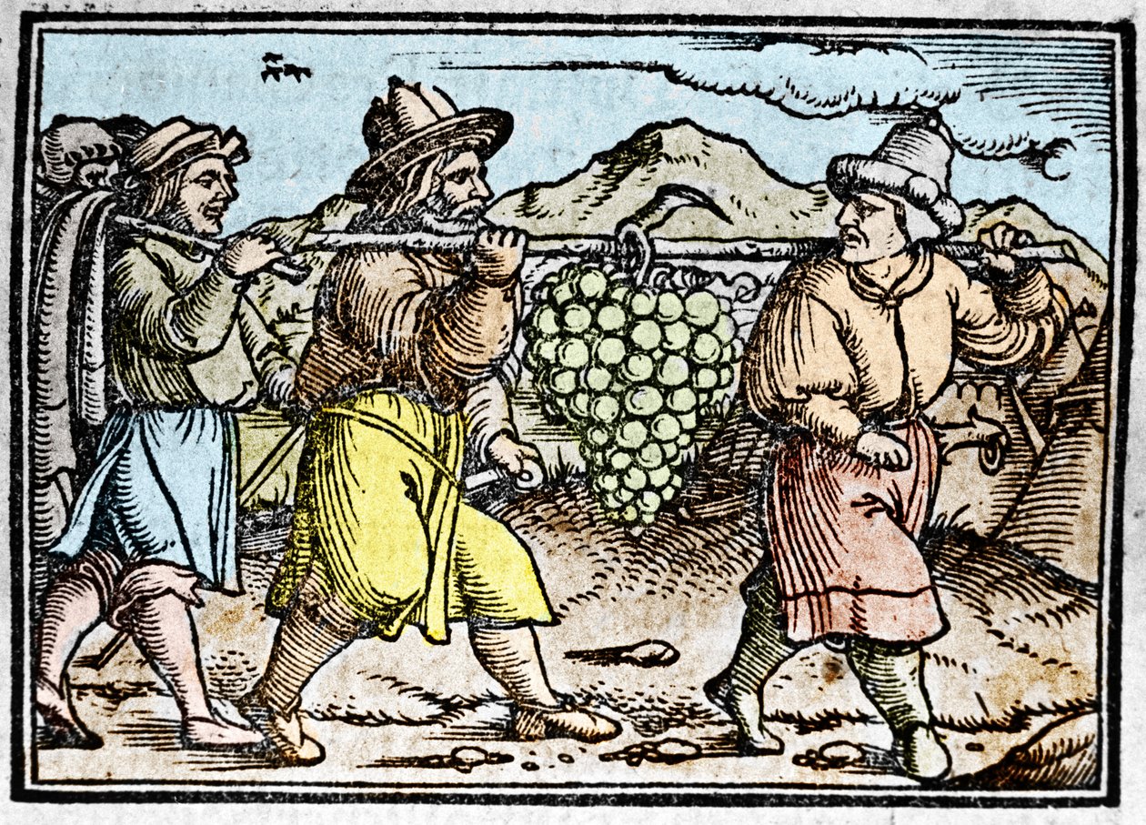 Powrót Jozuego i Kaleba z ogromną kiścią winogron z ziemi Kanaan (Ziemi Obiecanej). Kronika Johanna Stumpffa „”Den edlen strucen besten fromen”” autorstwa Unknown artist