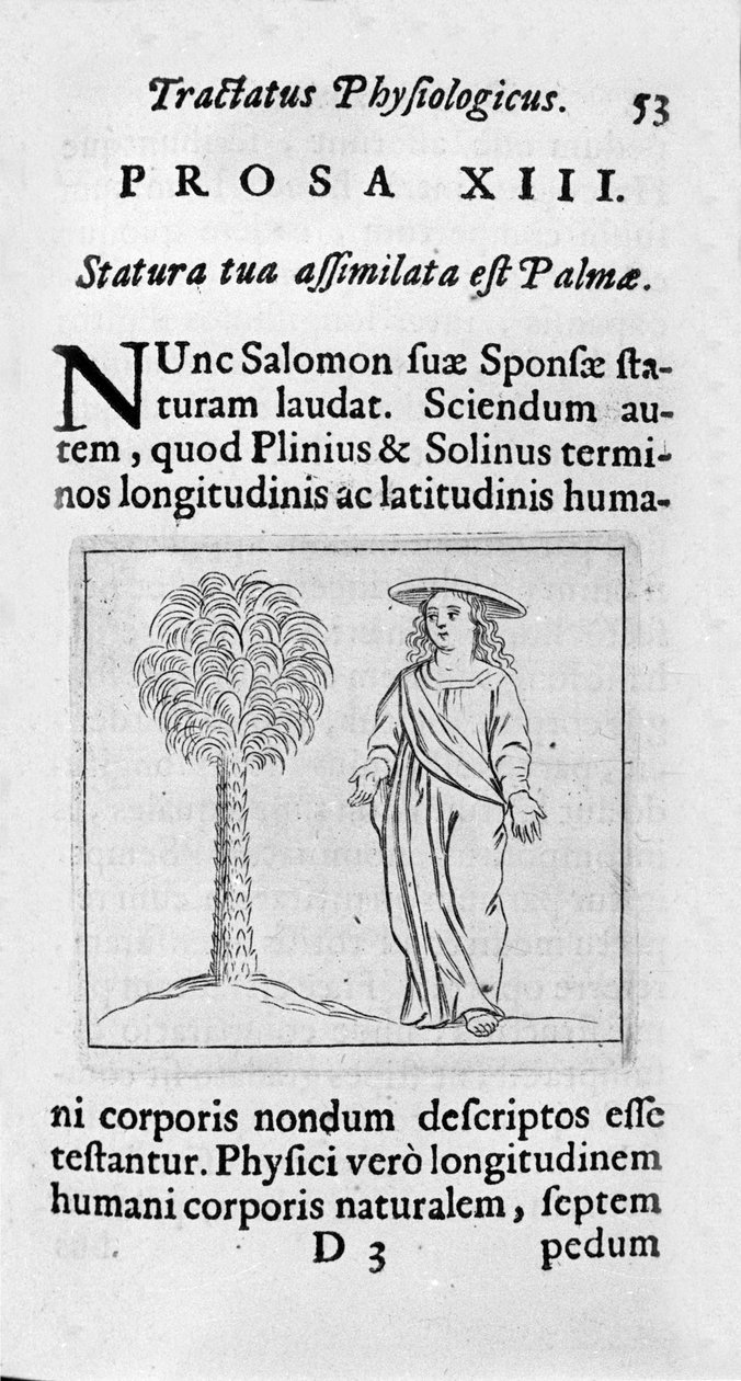 Rozmiar kobiety. Strona zaczerpnięta z „”Tractatus physiologicus de pulchritudine””” opowiada o Ernesto Venio (Ernestus Vaenius) broniącym piękna stworzenia przed anonimowym przeciwnikiem. 1612 autorstwa Unknown artist